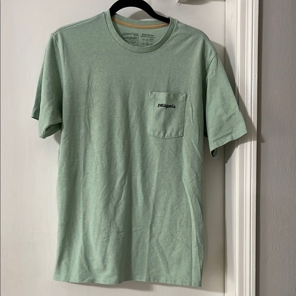 Patagonia Other - Patagonia Men's Green T-Shirt Daily Pocket Tee